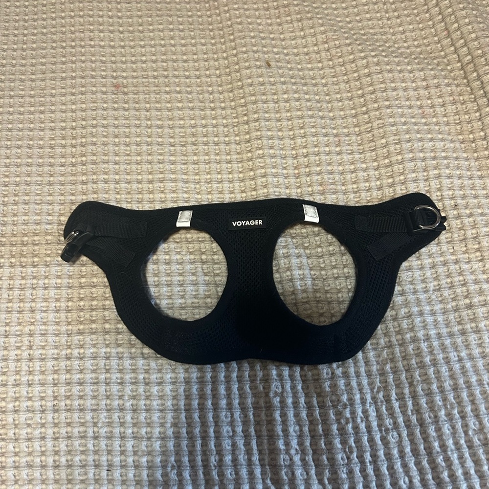 Xs cat harness